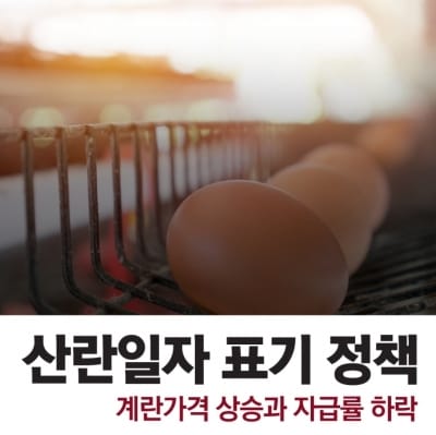 신선도와 상관없는 산란일자 표기 정책, 계란가격 상승과 자급률 떨어질 듯