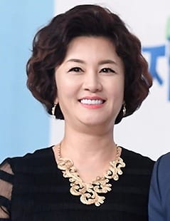 김혜선, 세금 체납 논란에 입 열어 "前 남편 빚 떠안아…개인회생 신청"