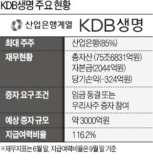 [마켓인사이트] 생사 갈림길에 선 KDB생명… 15일 '운명' 판가름