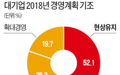 대기업 절반 "내년 현상유지 경영"