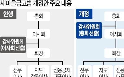 '비리 복마전' 새마을금고, 관리·감독체계 확 바뀐다