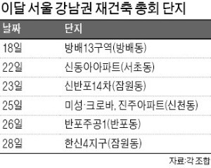 "재초제를 피해라"… 연말 재건축 관리처분총회 잇따라