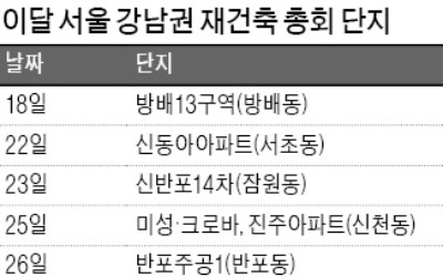 "재초제를 피해라"… 연말 재건축 관리처분총회 잇따라