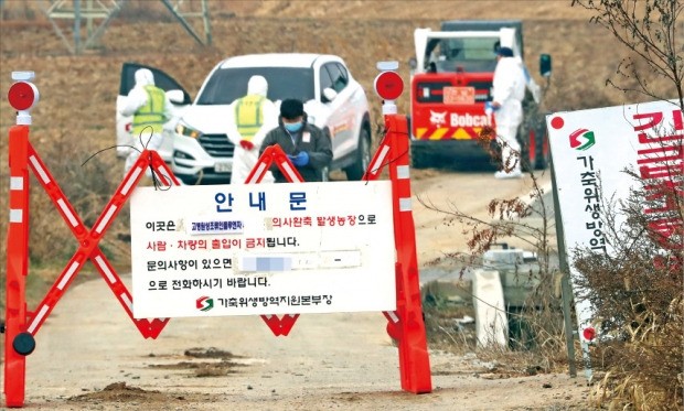 나주 오리농장 출입 통제