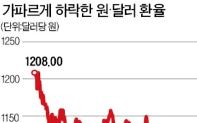  당분간 원화 강세… 1050원대까지 갈 수도