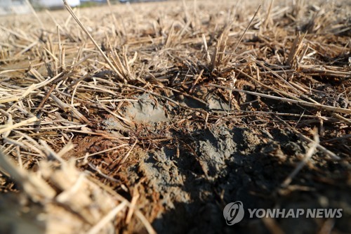 늪처럼 땅 물렁물렁해지는 '액상화'… 심하면 건물붕괴 위험