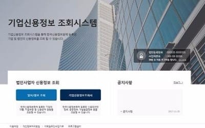 개인신용정보처럼 기업도 인터넷으로 신용정보 확인한다