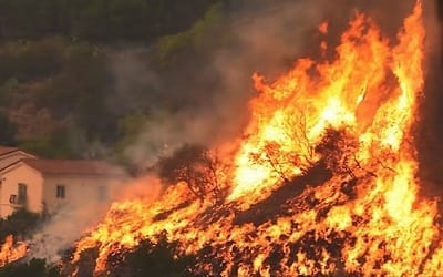 미국 캘리포니아 산불 역대 최대규모 확실시… 관광에도 큰 타격