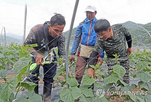 외국인근로자 절반은 월급 200만원대… 61％ "직장에 만족"