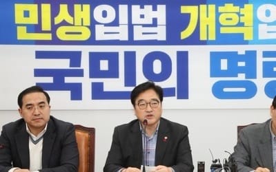 "전안법·시간강사법 연내처리 안되면 대혼란"… 애타는 민주당