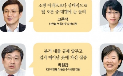 "대출규제 본격 시행되기 전에 사자… 소형 비해 덜 오른 중·대형 키 맞추기"