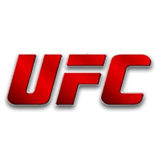 '13개월 만의 복귀' 최두호, 스티븐스에 TKO패…UFC 2연패