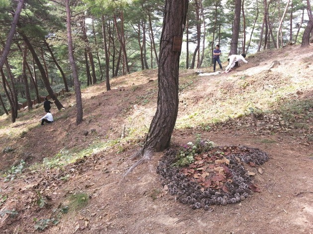 국립수목장림 하늘숲추모원, 가족목 분양구역 확대