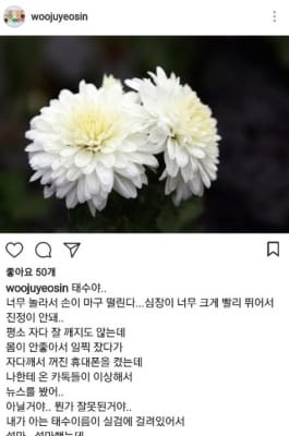 조민아 "더 안아주고 더 얼굴 봤어야 했는데" 전태수 사망에 애도