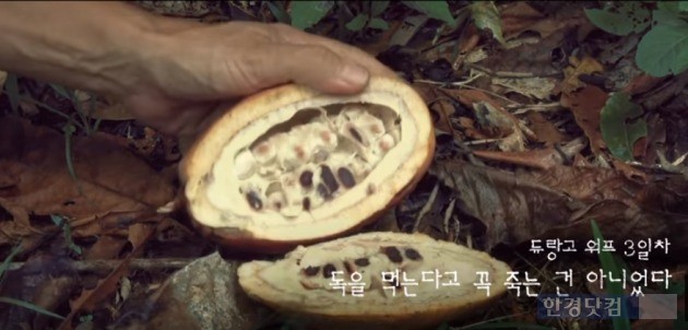 넥슨 모바일게임 '야생의 땅: 듀랑고' 광고 장면. / 사진=넥슨 유튜브 공식계정