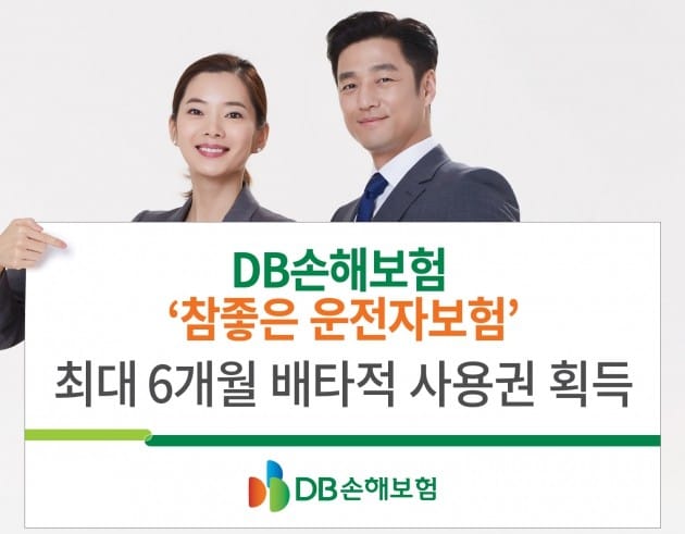 DB손보, '참좋은 운전자보험' 최대 6개월 배타적사용권 획득