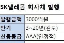 SK텔레콤도 초장기물 대열 합류…20년물까지 발행 검토