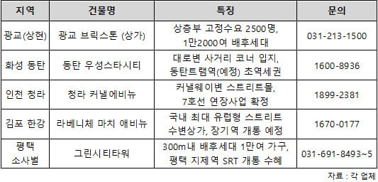 수익형부동산의 꽃은 역시 '상가'…투자 전략은?