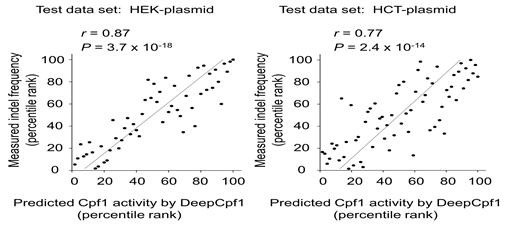 연구진 제작 알고리즘(Deep Cpf1)의 유전자가위 활성 예측 성능평가. 알고리즘 예측치(x축)와 실험 측정치(y축)가 양의 상관관계를 보였다. / 출처=서울대 제공