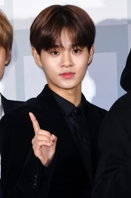  워너원 이대휘, '엘프 대휘'