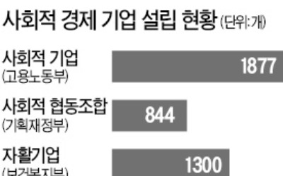 사회적 기업에 지자체 일감 대폭 확대