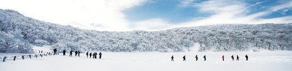  겨울왕국으로 변신한 사라오름 