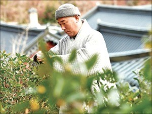 [한경 미디어 뉴스룸-MONEY] 협곡에 일군 천 년 차밭… 자연과 공존해 온 삶터