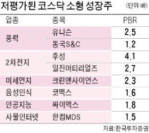 '저평가' 코스닥 성장주 찾아라