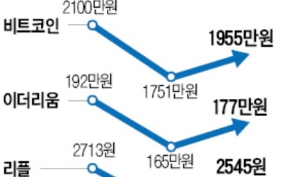 SNS 여론 살피며 갈피 못잡는 청와대… "앞으로 정부 발표 어떻게 믿나" 비판도