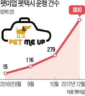 펫 택시기사·강아지유치원 교사 아시나요