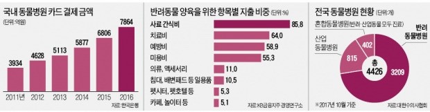 암 걸린 개, MRI·항암치료에 수천만원… 보험 가입률은 0.1% 불과