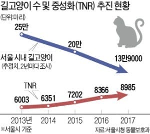 길고양이 해결책은 중성화 사업?