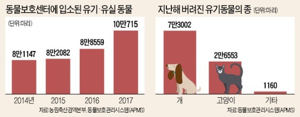 유기동물 연 10만 마리… '공장서 찍어낸 개' 쉽게 사고 버린다