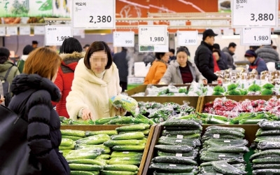 설 코앞인데… 한파·최저임금발 물가 비상