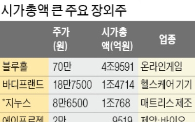 블루홀·지누스·올리패스… 몸값 높이는 '링 밖의' 황제주