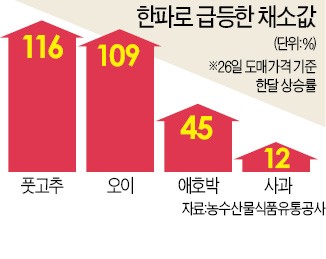 설 코앞인데… 한파·최저임금발 물가 비상