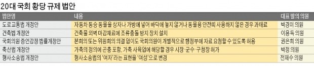 [국회의 '규제 폭주' (상)] 반려동물도 안전띠… 건물에 조류충돌 방지 장치… 규제법안 쏟아진다