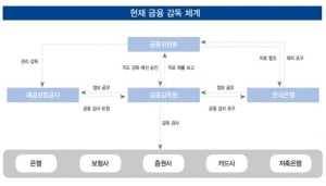 10년마다 수술대 오른 금융감독 역사