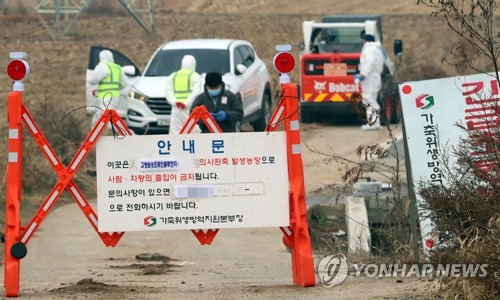 포천 산란계 농장, 고병원성 AI 확진…올겨울 닭에서 첫 발생