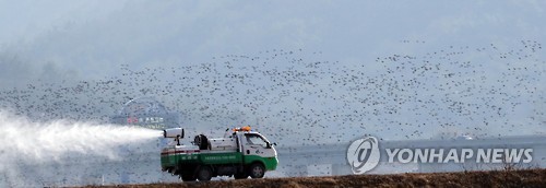 토착화 우려 AI, 오리·전남에 집중… 원인 모른 채 철새만 의심