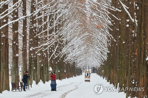 한파에 이틀째 '눈 폭탄'…눈길 사고에다 바닷길·하늘길도 막혀