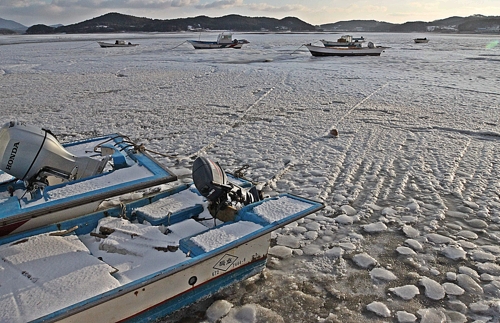 한파로 바다도 얼었다…충남 서해 가로림만 결빙