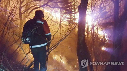 양양 산불 9시간만에 불길 잡고 잔불 정리…1.2ha 태워