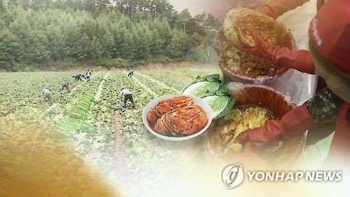 '김치 종주국 굴욕'…작년 무역적자 4730만달러, 사상 최대