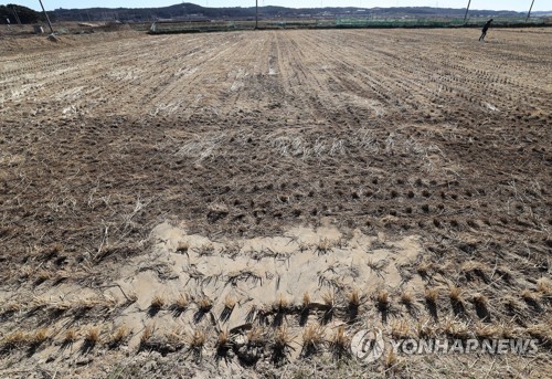 "포항 액상화 우려 수준 아니다"… 망천리 액상화 지수 '높음'