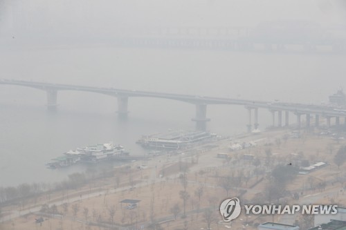 마스크 씌울 수도 없고…미세먼지에 반려동물도 '개'고생