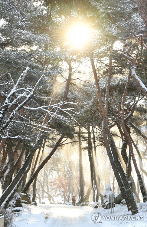 유럽서 '햇볕 실종사건'…한달 해뜬 시간 10시간반