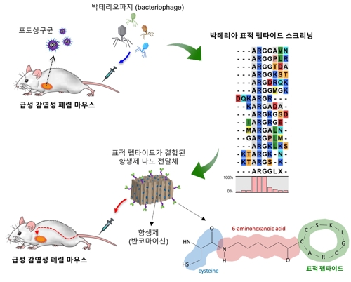 항생제 사용 10분의 1로 줄이는 약물 전달체 개발