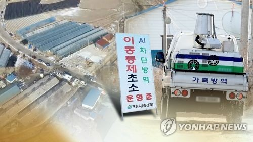 충남 천안 야생조류 분변서 AI 검출… 고병원성 검사