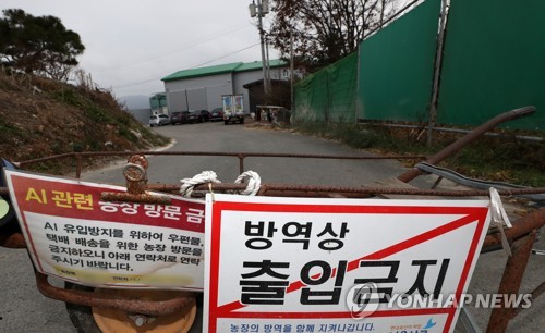 경기 평택도 고병원성 AI 확진…평창올림픽 2주 앞두고 '비상'